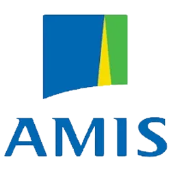 Amis